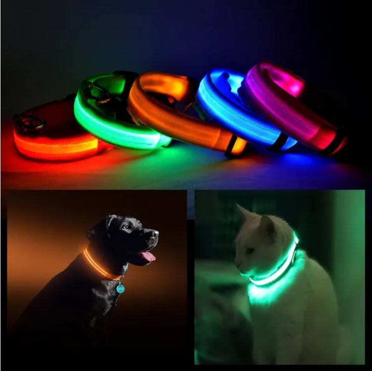 LED PET Safety Halo Style Collar — image 1 of 5