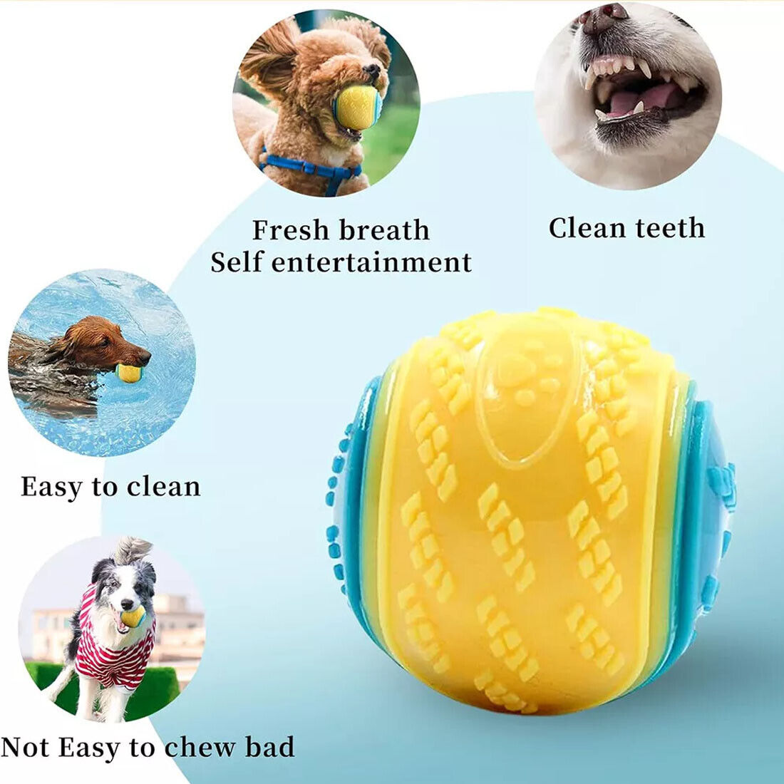 Squeaky Dog Balls — Set of 8 — image 1 of 11