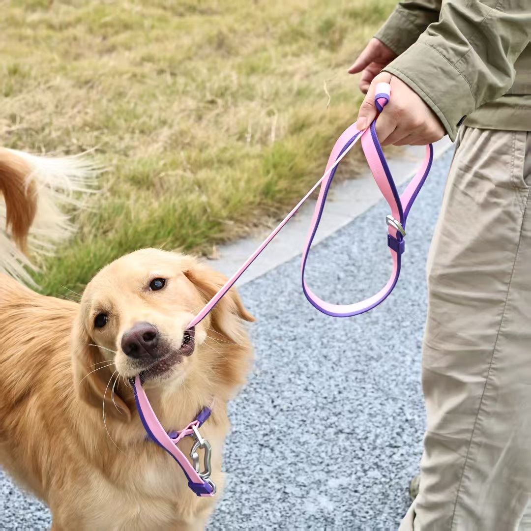 The New Dual-Color Embossed Pet Leash Set Is A Pet Product That Combines Appearance, Fun And Practicality. It Not Only Ensures A Great User Experience With Exquisite Craftsmanship, But Also Injects Mo — image 1 of 13