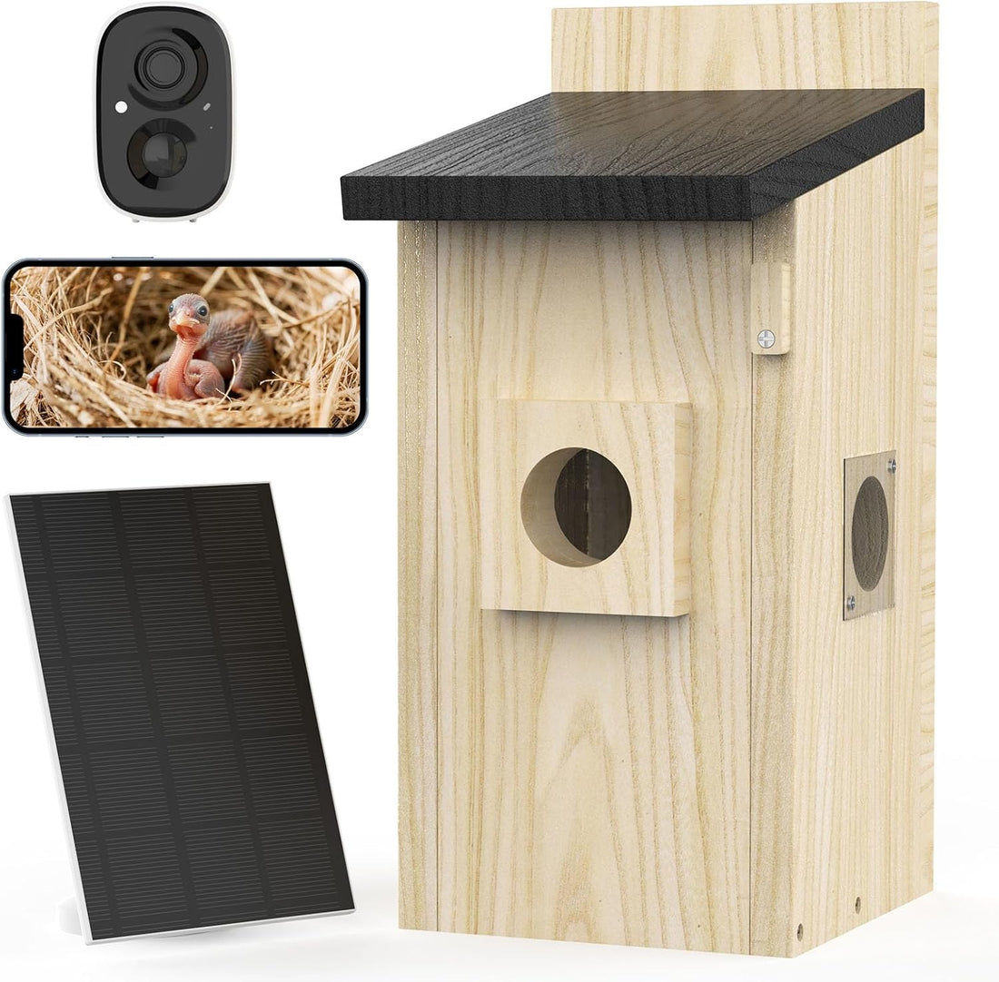 Solar Smart Birdhouse with 4MP AI Camera — image 1 of 6