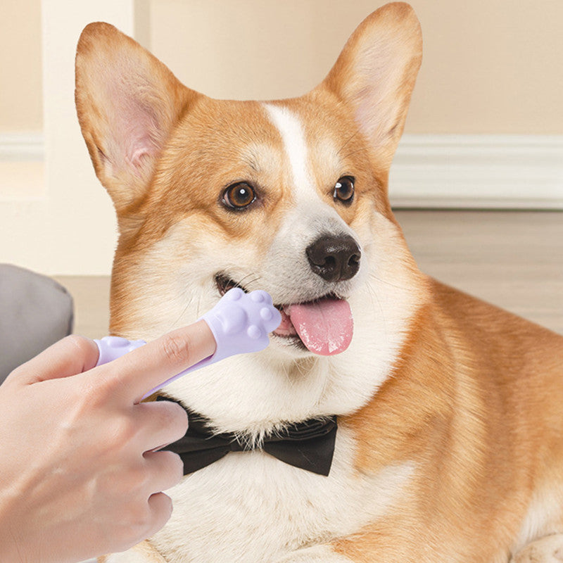 Dog Finger Toothbrush Small Dog Cleaning — image 1 of 5