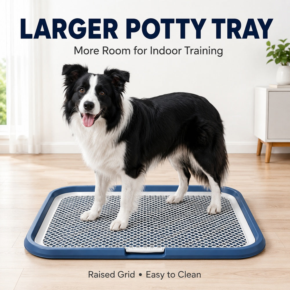 Dog Potty Tray With Removable Grating, Leak-Proof Indoor Dog Toilet For Puppy Training — image 1 of 14