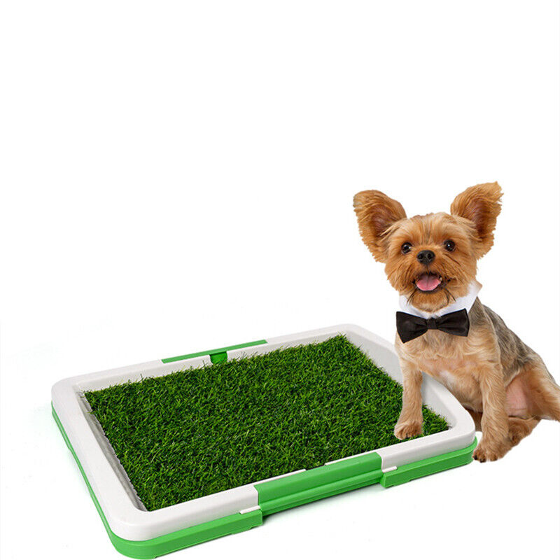 Indoor Potty Training Grass Pad for Dogs — image 1 of 9