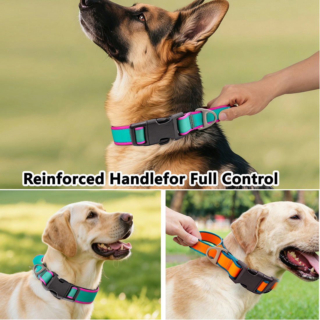 Fashionable New Tactical Collar Allows You To Better Control Your Beloved Dog — image 1 of 9
