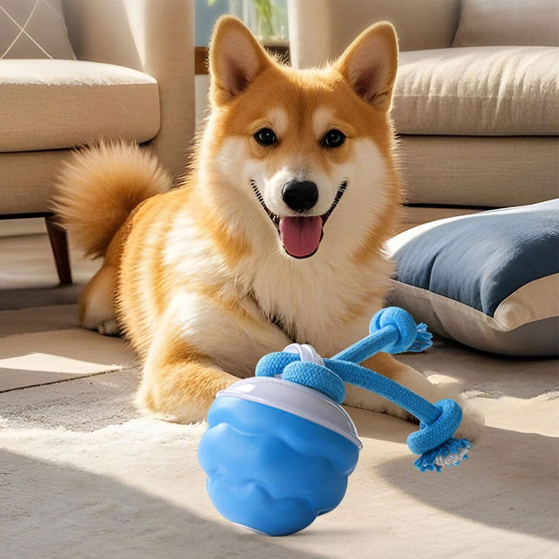 The Chase Buddy Dog Boredom Stimulating Toy  Smart Pet Puppy Ball With Ropes — image 1 of 10