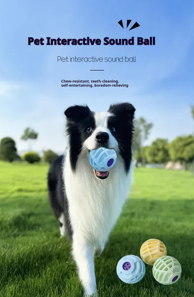 Pet Interactive Sound Ball,The Mellow Dog Cat Pet Voice Ball,Interactive Pet Squeaky Toys — image 1 of 8